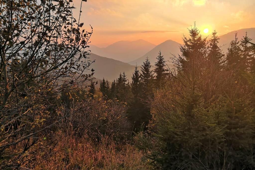 Appartment Dutzler Sankt Martin am Tennengebirge Exteriér fotografie