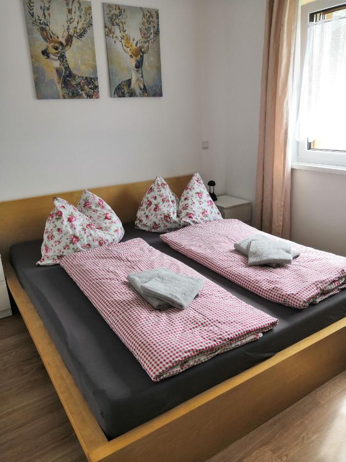 Appartment Dutzler Sankt Martin am Tennengebirge Exteriér fotografie