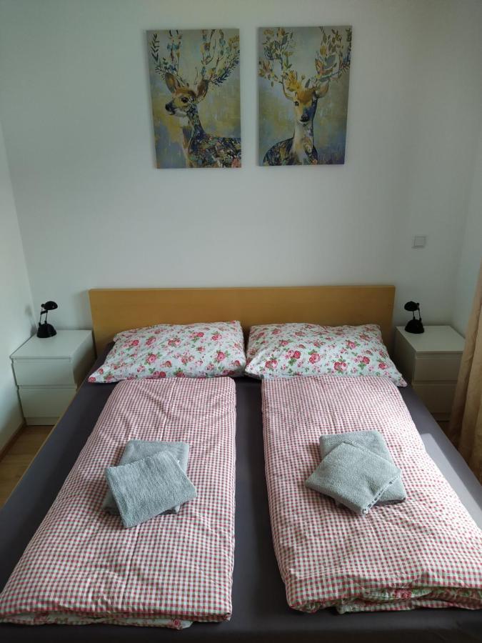 Appartment Dutzler Sankt Martin am Tennengebirge Exteriér fotografie